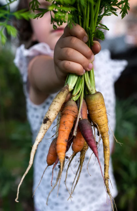 Children gardening together outdoors