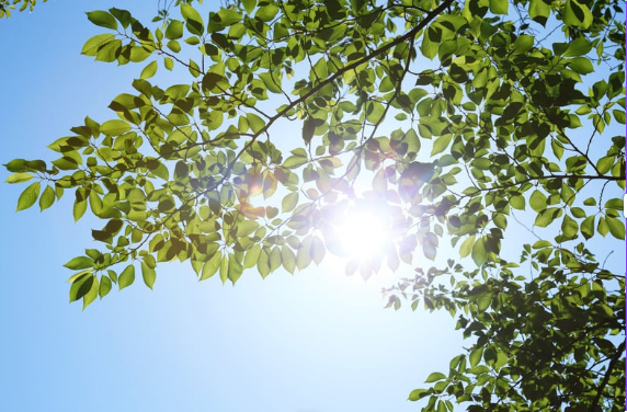 Morning Routines That Actually Work: A Complete Guide to Starting Your Day Right